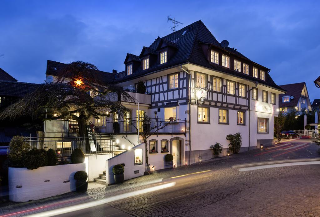 Bodenseehotel Renn Hagnau am Bodensee Extérieur photo