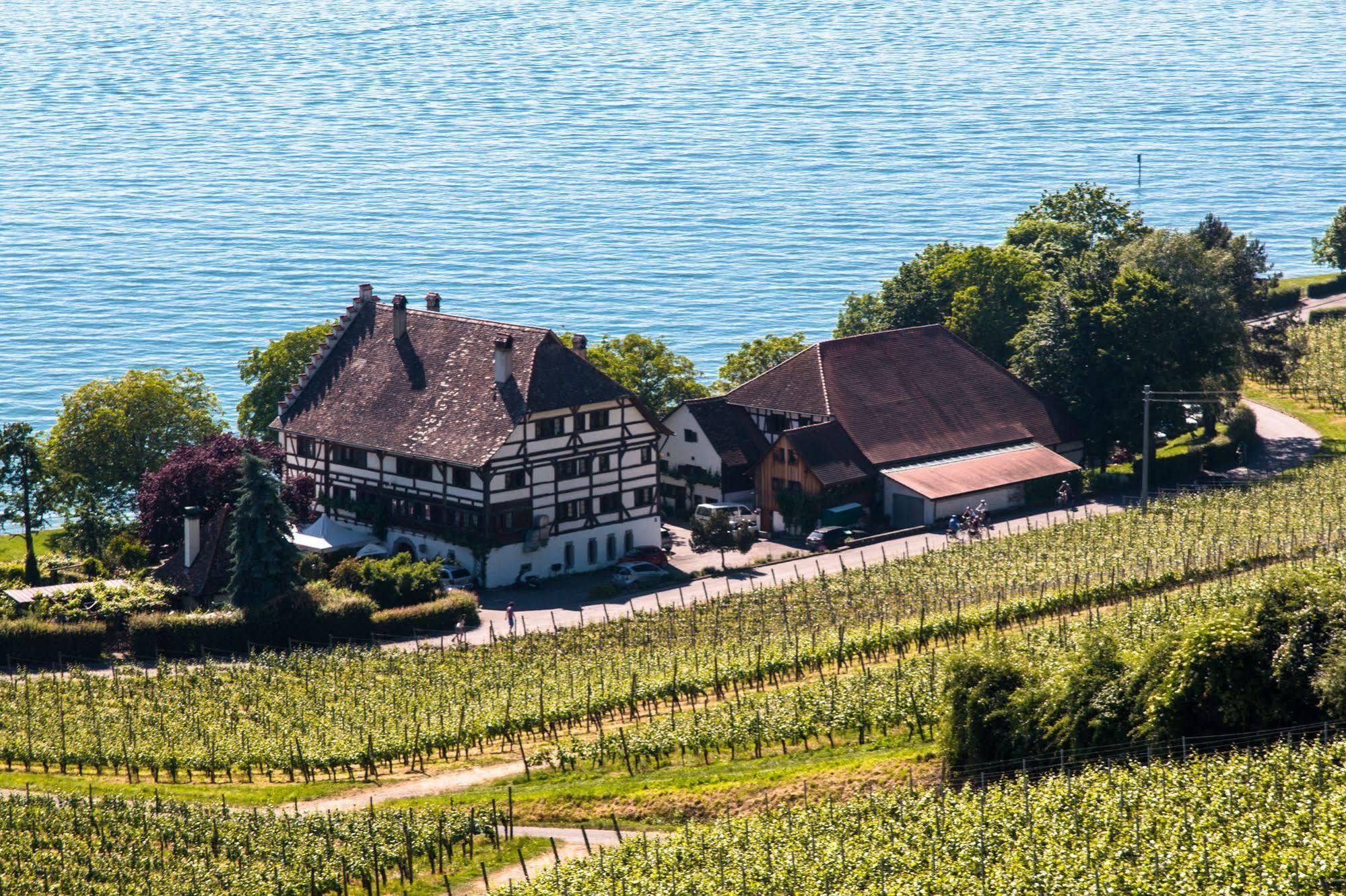 Bodenseehotel Renn Hagnau am Bodensee Extérieur photo
